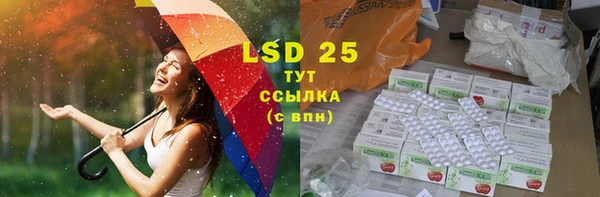 дживик Аркадак